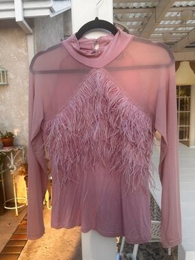 Grace Pink Feather-Trim Sheer Panel Long Sleeve Top